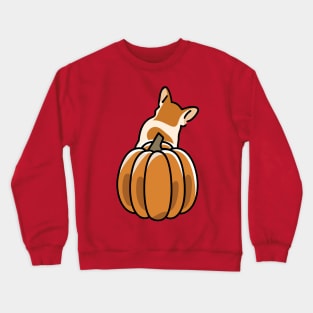 corgi butt pumpkin Crewneck Sweatshirt